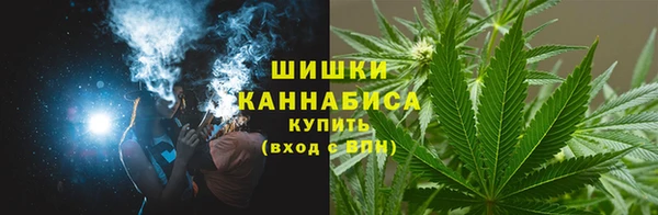 PSILOCYBIN Балахна