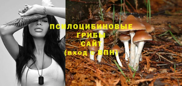 PSILOCYBIN Балахна