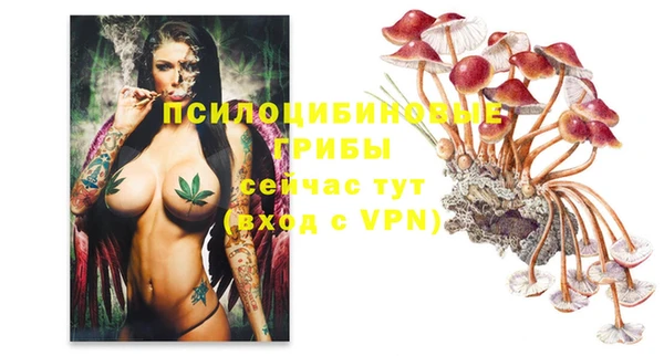 PSILOCYBIN Балахна