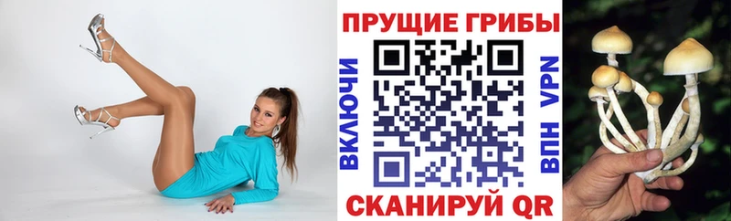 блэк спрут ссылки  площадка формула  Псилоцибиновые грибы ЛСД  Афипский 